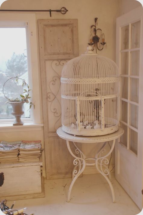 Toves Sammensurium Bird Cage In Living Room, Beautiful Bird Cage, Birdcage Decor, Antique Bird Cages, Pet Bird Cage, Bird Cage Decor, Vintage Bird Cage, Birdcages, Coastal Bedrooms