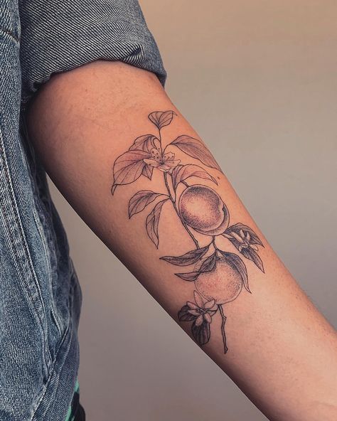 Apricot Blossom Tattoo, Apricot Tree Tattoo, Floral Fruit Tattoo, Pear Tree Tattoo, Peach Tree Blossom Tattoo, Black And White Peach Tattoo, Crab Apple Tattoo, Peach Tree Branch Tattoo, Peach Plant Tattoo