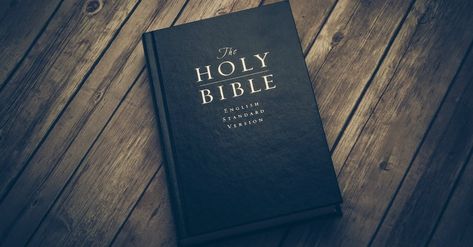 For Christians, the Bible is much more than a simple book of faith. It’s a record of history, a collection of poetry, verses of proverbs, and a testament to the resurrection of Jesus Christ. It is quite literally the inspired word of God. Scr... Irony Examples, Powerful Scriptures, The Holy Bible, Funny Quotes Sarcasm, 10th Quotes, Funny Quotes For Teens, Funny Quotes About Life, Inspirational Bible Verses, Teenager Posts Funny