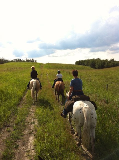 Horse Riding Trails, Trail Riding Aesthetic, House With Horses, Vibin N Thrivin, Abundance Vision Board, Prancing Pony, Ranch Wife, Ride A Horse, Wedding Resort