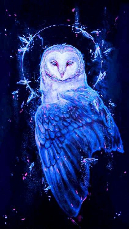 Owl Patronus Art, Night Owl Drawing, Fantasy Owl Art, Owl Artwork Illustrations, Owl Spirit Animal Art, Owl Fantasy Art, Cosmic Owl, Celestial Animals, Fantasy Owl