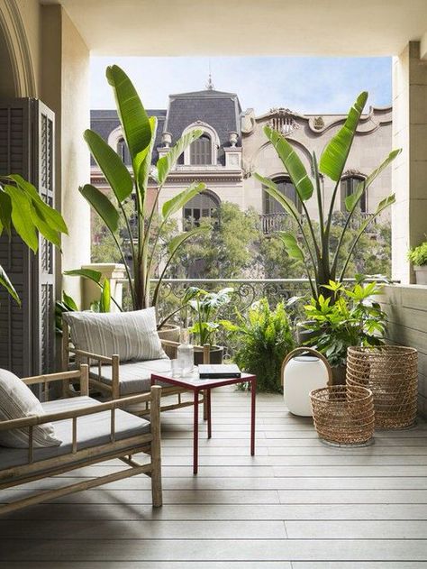 Create a Tropical Garden Oasis in a Balcony With These Ideas Klein Balkon Decor, Balkon Decor, Balcony Design Ideas, Balcony Ideas Apartment Outdoor, Small Balcony Garden, Modern Balcony, Small Balcony Design, Avocado Sauce, Balcony Plants