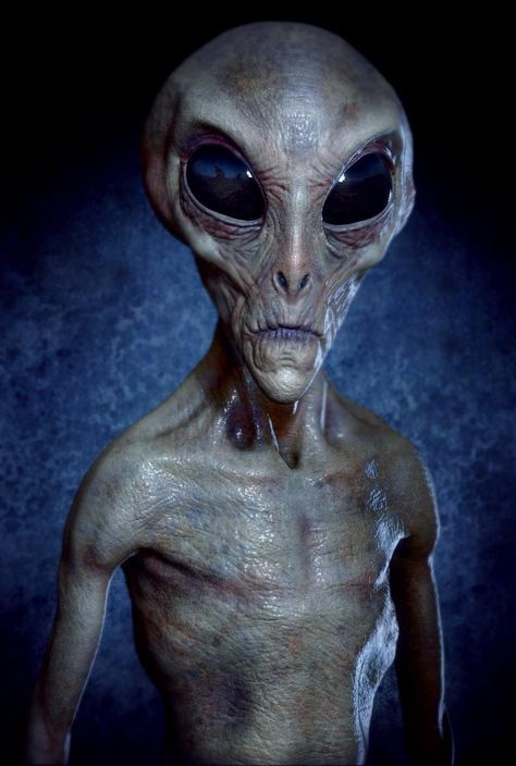 Grey Alien Concept IV Alien Photos, Grey Alien, Arte Alien, Psy Art, Image Film, Alien Concept, Aliens And Ufos, Alien Creatures, Crop Circles