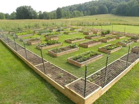 Big Square Garden Design, Large Raised Bed Garden, Large Garden Ideas Layout, Large Vegetable Garden Design, Large Vegetable Garden Layout, Dream Vegetable Garden, Garden Design Home, Garden Layout Vegetable, Homestead Gardens