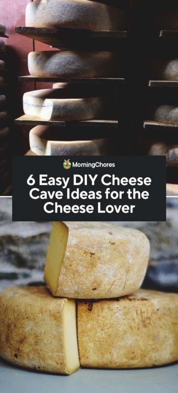 Cheese Caves, Homemade Cheeses, Homesteading Recipes, Permaculture Farm, Cheese Recipes Homemade, Cheese Cave, Cheese Making Recipes, Instant Pot Yogurt, Scratch Cooking