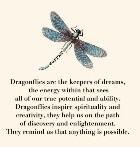 What Does A Dragonfly Symbolize, Dragon Fly Spiritual Meaning, Dragonflies Meaning, Dragonfly Poems, Dragon Fly Meaning, Blue Dragonfly Meaning, Dragonfly Sign, Dragonfly Meaning Spiritual, Dragonfly Flying