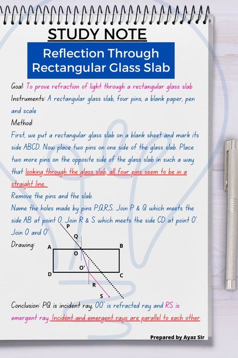 Light Reflection And Refraction, Physics Facts, Class 10 Science, Animal Cells, Learn Biology, Reflection Of Light, Plant And Animal Cells, Physics Lessons, Learn Physics