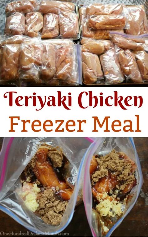 Freezer Meals - Teriyaki Chicken - One Hundred Dollars a Month Chicken Freezer, Chicken Freezer Meals, Freezer Dinners, Budget Freezer Meals, Freezer Friendly Meals, Freezable Meals, Freezer Meal Planning, Make Ahead Freezer Meals, Crock Pot Freezer