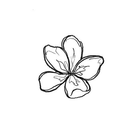 Frangipani Tattoo Colour, Flower Trio Tattoo, Hibiscus Flower Line Drawing, Flower Hibiscus Tattoo, Flower Tattoos Hawaiian, Plumeria Flower Tattoos Black And White, Hibiscus Tattoo Drawing, Hibiscus Flower Vine Tattoo, Hawaiian Shell Tattoo