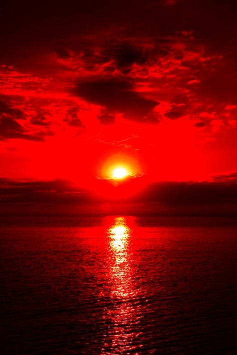 Red Sunset Aesthetic, Red Moon Cycle, Red Widgets Aesthetic, Red Widget, Pictures Of The Sun, Sunset Rose, Red Sunset, Red Sun, Red Moon