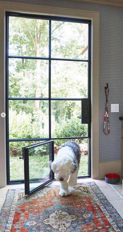 Patio Dog Door, Doggy Door, Yellow Floor, Black Window Frames, Dog Window, Dog Washing Station, Home Design Diy, Furniture Interior Design, Interior Design Boards