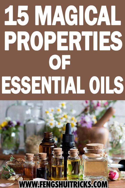 Although it may look weird or new to you, Essential Oils For Abundance have been utilized as a money magnet and to attract good luck for thousands of years. Going through history, essential oils have been used for many purposes. Read this post to learn about 15 essential oils that can be used for abundance, wealth and prosperity. Prosperity Oil Recipe, Oils For Abundance, Money Oil Recipe, Types Of Essential Oils, Abundance Essential Oil, Essential Oil Combos, Money Oil, Ritual Oils, Esential Oils