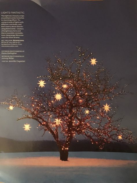 Martha Stewart Inspiration, Martha Stewart Christmas Decorations, Martha Stewart Fall, Martha Stewart Christmas, Moravian Star, Quirky Christmas, Holiday Trees, Creative Christmas Trees, Martha Stewart Living