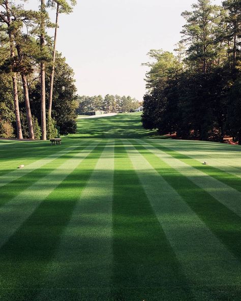 Golf Monthly on Instagram: “Old school Augusta National 😍⛳ #golf #golfer #golfing #golfstagram #golflife #golfcourse” The Masters Aesthetic, Golf Course Aesthetic, Golf Field, Golf Aesthetic, Honma Golf, Augusta Golf, Golf Pictures, Golf Photography, Golf Inspiration