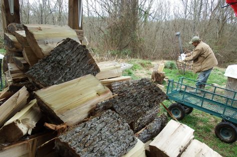 Where to put a wood chopping station Survival Preparedness, Wood Chopping, Fire Wood, Homesteading Skills, Wood Shed, Wild Edibles, Homestead Survival, Emergency Medicine, Emergency Prepping