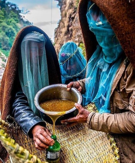 @mad.honey.shot . .  Among those of us living in Western countries, Nepal has a reputation as a mystic place, a land on the border between… Medicinal Honey, Mad Honey, World Photography Day, Guardian Spirit, Mystical Places, Photography Day, On The Border, Natural Medicine, Us Images