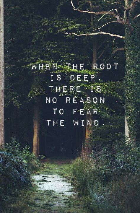 Mountain Quotes, Life Quotes Love, Tree Roots, Nature Quotes, Inspiration Quotes, True Words, Travel Quotes, Great Quotes, Beautiful Words