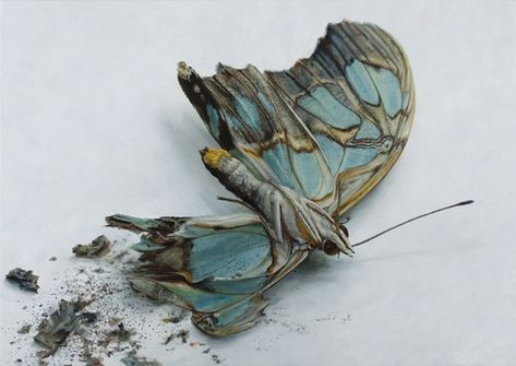 Photorealism, Ethereal Art, Art Google, Butterfly Wings, Wabi Sabi, The Snow, Classic Art, Moth, Turquoise Bracelet