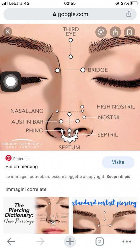 Piercing Chart Mouth, Face Peircings Name, Nose Piercing Names Chart, Piercing Names Nose, Face Percinings Ideas, Face Peircings Name Chart, Type Of Nose Piercing, Nose Piercing Chart, Nose Piercing Names