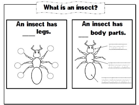 April 2015 ~ TJ Homeschooling Insect Parts Free Printable, Parts Of An Insect Printable, Parts Of An Insect Preschool, Insect Worksheet, What Is An Insect, Parts Of An Insect, Farm Worksheets, Insect Body Parts, Insects Activities