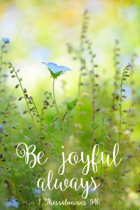 Be Joyful Always. Joy In The Lord, Lord Quote, Bubble Quotes, Spring Quotes, Spring Song, Joy Quotes, Be Joyful, Bible Words Images, Angel Prayers