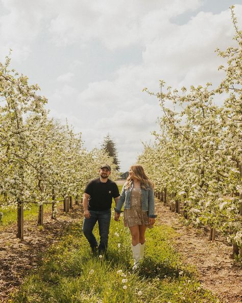 Ahhhhhhh apple trees and these two( and Blake’s of course) - I’m in loveeeeeeeee!! I can’t wait for their wedding! 🥺• • #taylormariephotography #detroitphotographer #michiganphotographer #metrodetroitphotographer #metrodetroitvideographer #videographer#weddingvideographermi #downtowndetroitphotographer Apple Orchard Couple Pictures, Apple Orchard Photoshoot Couple, Apple Picking Photoshoot Couple, Apple Orchard Engagement Photos, Apple Orchard Photoshoot, Apple Orchard Pictures, Apple Picking Photos, Apple Photo, Photoshoot Couple