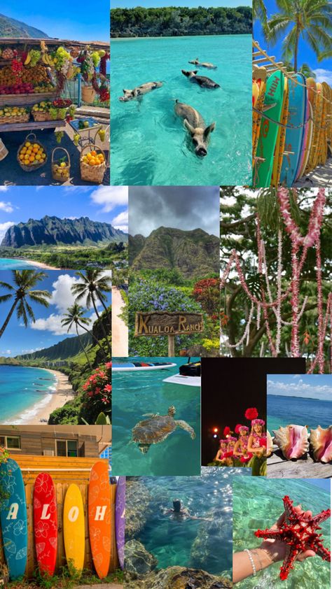 I love Hawaii and wanted to collage about it! Hawaii Collage, Hawaii, I Love, Collage, Travel