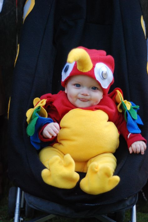 Baby Parrot Costume, Ground Hogs Day, Ground Hogs, Parrot Costume, Twin Costumes, Penguin Costume, Costume Tutorial, Mini Tutorial, Diy Costume