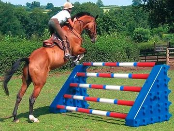 Jump Wings, Horse Jumps, Dream Stables, Show Jumping Horses, Horse Jumping, Show Jumping, The Uk, Horses