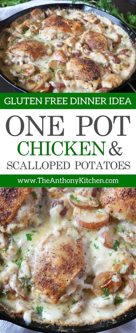 Chicken and Scalloped Potato Casserole Chicken And Scalloped Potatoes, Scalloped Red Potatoes, One Pot Chicken Dinner, Scalloped Potato Casserole, Scalloped Potatoes Recipe, One Pan Dinners, Scalloped Potato, Chicken Dinner Recipe, Creamy Cheese Sauce