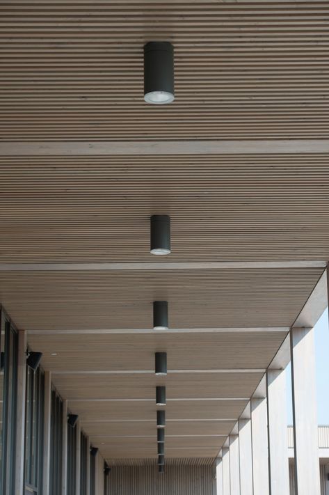 Acoustic Timber | Wood Slat Acoustic Panels | BCL Timber Projects Wood Slat Ceiling, Timber Projects, Interior Ceiling Design, Timber Slats, Timber Ceiling, Ceiling Design Modern, Timber Panelling, Ceiling Treatments, Oak Panels