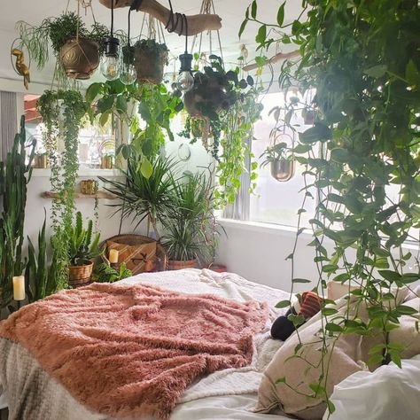 Bedroom With Plants, Plant Bedroom, Jungle Bedroom, Indoor Gardens, Indie Room, House Plants Decor, Aesthetic Rooms, Dreamy Bedrooms, Dreamy Room