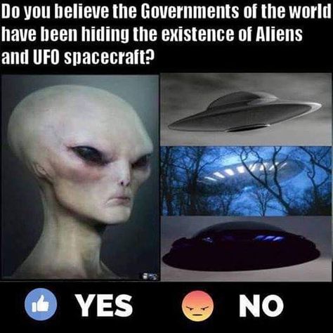 Do Aliens Exist, Extra Terrestrial, Ancient Aliens, Do You Believe, Spacecraft, Aliens, Government, Character Art, Instagram Images