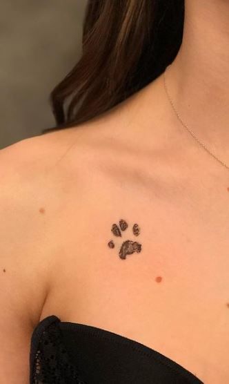 30 Paw Print Tattoos / Ideas, Designs & Pictures - Tattoo Me Now Paw Print Tattoos, Cat Paw Print Tattoo, Tattoo After Care, Tatoo Dog, Inspo Tattoo, Dog Print Tattoo, Pawprint Tattoo, Paw Tattoo, Tattoos For Lovers