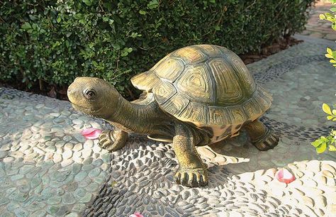 Russian Tortoise Diet, Russian Tortoise, Tortoise Care, Baby Tortoise, Sulcata Tortoise, Galapagos Tortoise, Young Animal, Outdoor Statues, Design Toscano