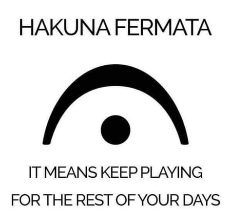 hakuna matata who? we only know hakuna fermata. although it may be the opposite of no worries #meme #musicmeme #musician #funnymeme #pmpmusicstudio #pmpproud #BlackOwned #WomenOwned #LGBTQIAOwned Piano Memes, Funny Band Jokes, Band Puns, Orchestra Humor, Musician Memes, Musician Jokes, Marching Band Jokes, Musical Jokes, Marching Band Memes