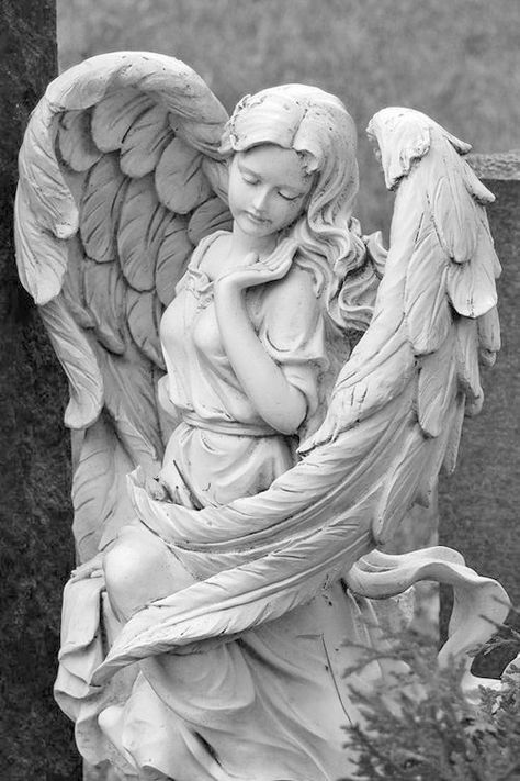 Angel Statues Sculpture, Statue Tattoo, Classic Sculpture, Greek Statues, Angel Statue, Angel Tattoo Designs, Angel Sculpture, Cemetery Art, Greek Sculpture