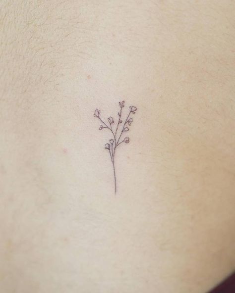 Babys Breathe Tattoos, Baby S Breath Tattoo, Gypsophila Tattoo, Small Outline Tattoos, Baby Breath Tattoo, Breath Tattoo, Bluebell Tattoo, No Rain No Flowers Tattoo, Vienna Tattoo