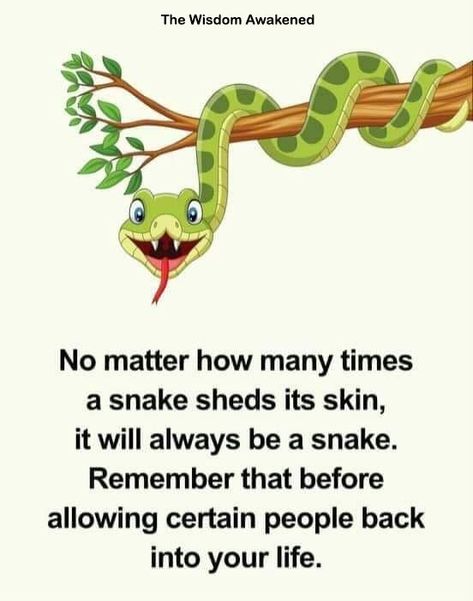 Shedding Skin, Skin Quotes, Skins Quotes, November Quotes, Snake Shedding, A Snake, Life Facts, No Matter How, Snakes