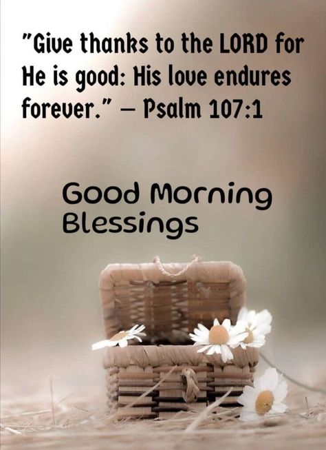 Happy Thanksgiving Prayer, Prayer For Friends, Positive Good Night Quotes, Morning Verses, Good Morning Scripture, Good Morning Blessings, Good Morning Bible Verse, Christian Good Morning Quotes, Blessed Morning Quotes