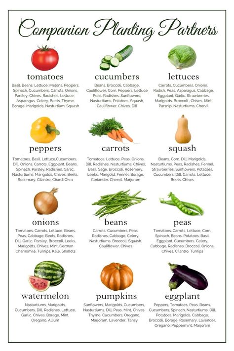 Vegetable Garden Flowers, Food Forest Backyard, Round Vegetable Garden, Garden Printables, Herb Companion Planting, Plan A Garden, Companion Planting Chart, Companion Gardening, Garden Companion Planting