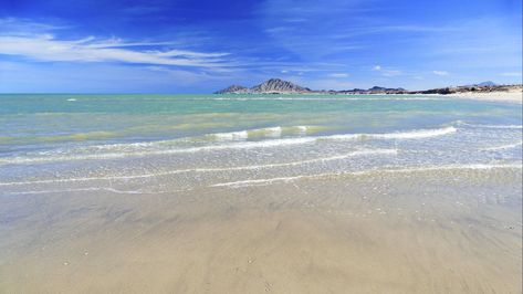 San Felipe Baja California, Beach Travel Destinations, Sea Of Cortez, Mexico House, Beach Towns, Sport Fishing, Off Road Adventure, Best Beaches, Calm Water