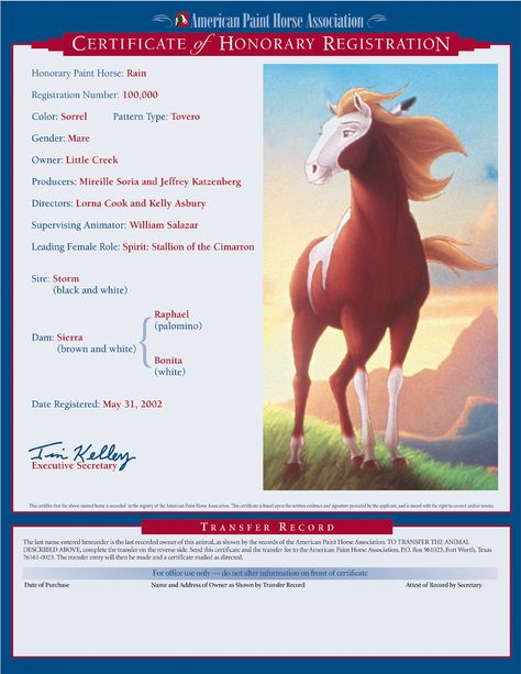 Rain is the deuteragonist in the film, and Spirit's mate. She belongs to Little Creek at first... Disney Horses, Spirit Stallion Of The Cimarron, Spirit And Rain, Spirit The Horse, Spirit Stallion, Horse Movies, Animated Movies For Kids, American Paint Horse, Running In The Rain