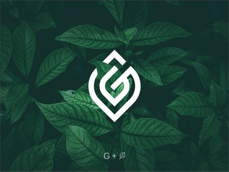 G Leaf Logo, Types Of Logo Design, Gh Logo, Glow Logo, Green Branding, Family Logo, Coffee Logo, Abstract Geometric Art, Buy Logo