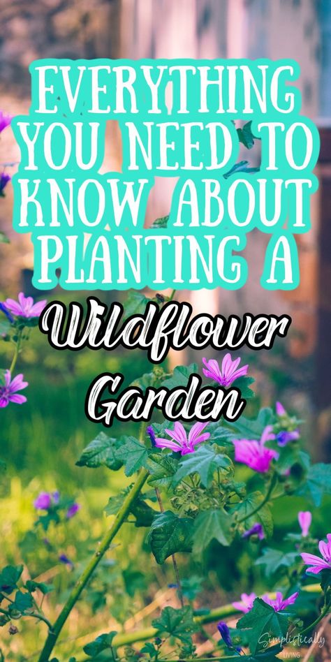 Wildflowers Around House, Growing A Wildflower Garden, Wildflower Home Garden, Wild Flowers Yard, Wildflower Mix Garden, Wildflower Garden Bed Front Yard, Planting Wild Flowers Garden Ideas, Wildflower Pollinator Garden, Northeast Wildflower Garden