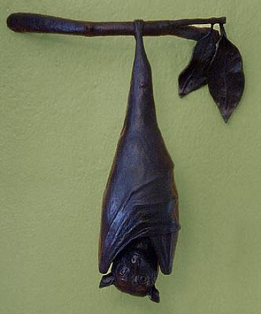 Flying Fox - Australian Fruit Bat - Sculpture Art by Andrea Rich Reptile Crafts, Woodcut Prints, Ceramic Sculpture Figurative, Flying Fox, Rich Art, Bat Art, Halloween Clay, Ceramic Art Sculpture, Fruit Bat