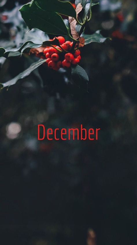 Hello December Images Aesthetic, Welcome December Wallpaper, Hello December Aesthetic, December Wallpaper Aesthetic, December Aesthetic Wallpaper, Welcome December Images, Hallo December, Hello December Images, December Aesthetic