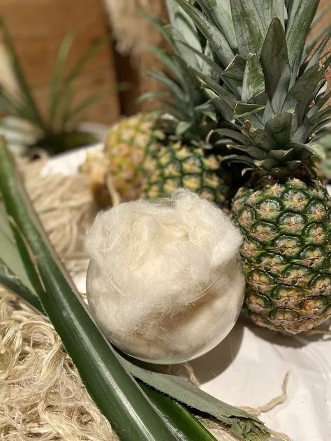 This Southeast Asian Innovator Sources Pineapple Leaves for Denim – Sourcing Journal Pineapple Leaves, Pineapple Leather, Pineapple Fabric, Natural Fiber Clothing, Agricultural Sector, Asian Fabric, Textiles Projects, Sustainable Textiles, Southeast Asian