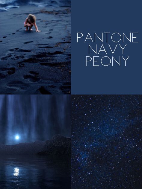 Navy Blue Pantone Colour Palettes, Navy Blue Colour Scheme, Indigo Pantone, Pantone Navy Blue, Pantone Dark Blue, Navy Blue Pantone, Pantone Navy, Dark Blue Color Palette, Navy Peony