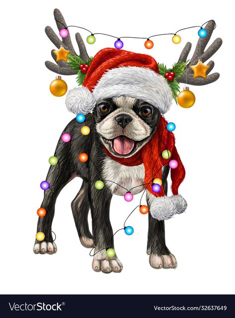 Boston Terrier Christmas Pictures, Christmas Dog Art, Boston Terrier Art Illustrations, Boston Terrier Christmas Card, Boston Terrier Christmas, Dog Baby Announcement, Boston Terrier Art, Dog Background, Dogs Christmas